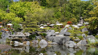 美しい浄土庭園と素晴らしい寺宝