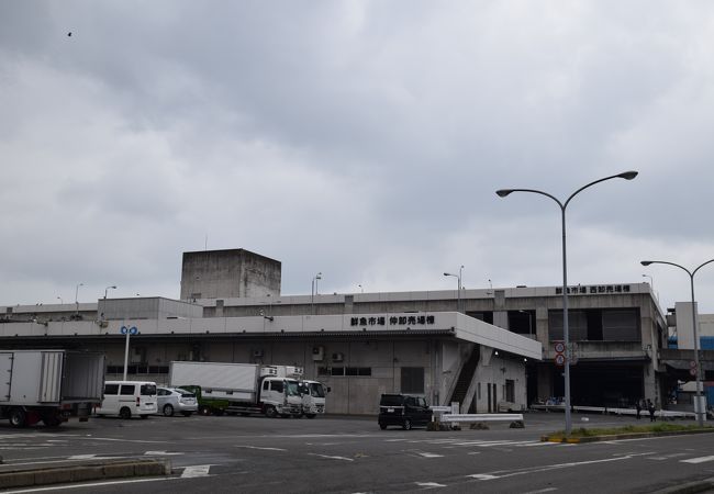 福岡市中央卸売市場鮮魚市場 クチコミ アクセス 営業時間 博多 フォートラベル 福岡市中央卸売市場鮮魚市場 クチコミ アクセス 営業時間 博多 フォートラベル