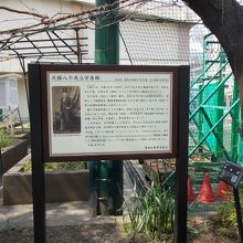 表示板のみです。両国小学校ないです。