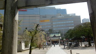 都会の真ん中にゆったりと広がる