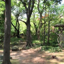 自然豊かなところです