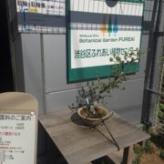 渋谷区の植物園