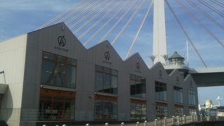 リンゴのお土産たくさん