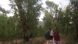 現地ツアーがおススメ