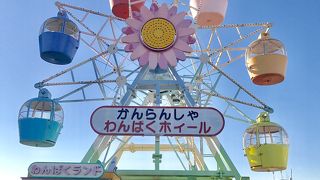 屋上観覧車、かわいいです