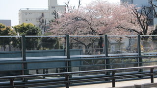 恵比寿ガーデンプレイス前の橋