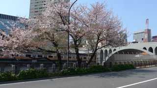 神田川に架けられ文京区と千代田区を結ぶ「聖橋」を見てきました!!