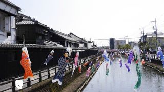 蔵の街並みに溶け込んだ風情