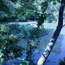 園内の様子です。