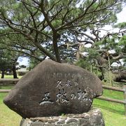 国指定天然記念物でもある久米島の五枝の松は、樹齢２５０年以上といわれている四方八方に枝分かれした迫力ある一本松です。