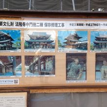 保存工事中の所がありました