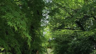 雰囲気がありパワーを感じる