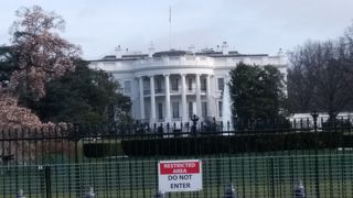 遠くから・・・