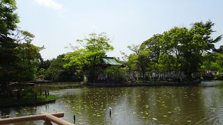 池の周りは憩いの場所
