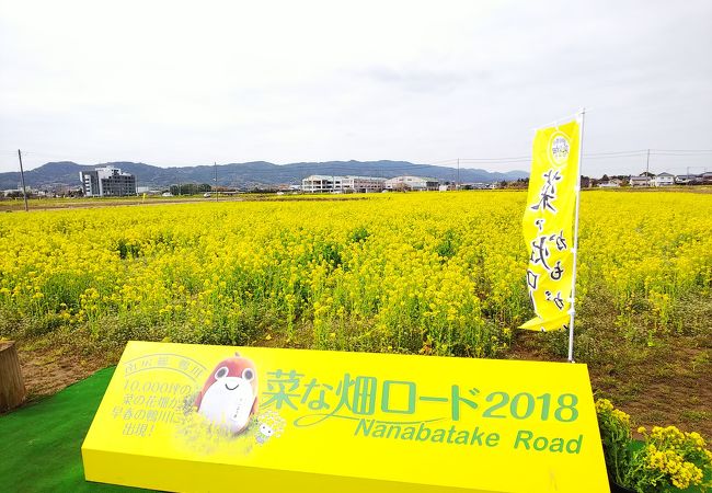 菜な畑ロード クチコミ アクセス 営業時間 鴨川 フォートラベル 菜な畑ロード クチコミ アクセス 営業時間 鴨川 フォートラベル
