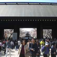靖国神社の神門です。檜造りの伝統的な建築物で、格調が高いです