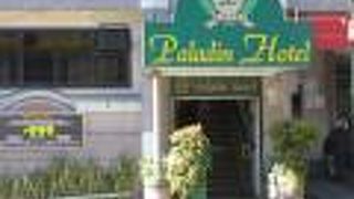 パラディン ホテル