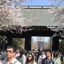 神門を拝殿方向から見ています。神門の奥に、大鳥居が見えます。