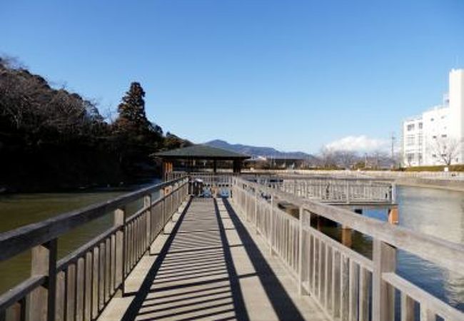 野鳥も楽しめる公園