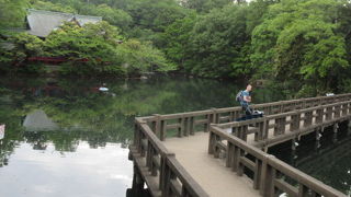入場無料、犬も連れて入れます。