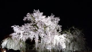 美しさに吸い込まれそうな夜