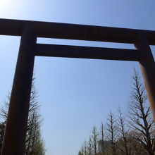 靖国神社の大鳥居