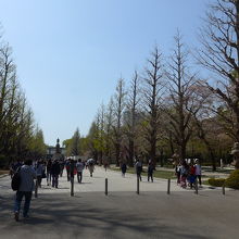 広々とした参道