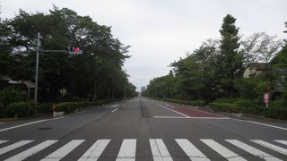 国立駅からの一本道