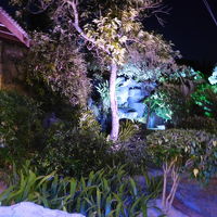 何故かレストランの端にある滝