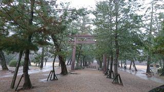 雨が降ると水が溜まる