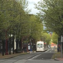 木々の緑の中を颯爽と走るマックス