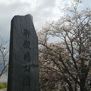 見事に桜が咲きそろう静かな公園です。