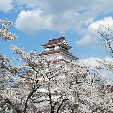 天守と桜