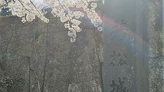 言わずと知れた観光名所。