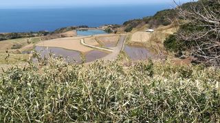 田植えの時期に行きましょう