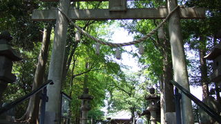 新横浜の歴史ある神社