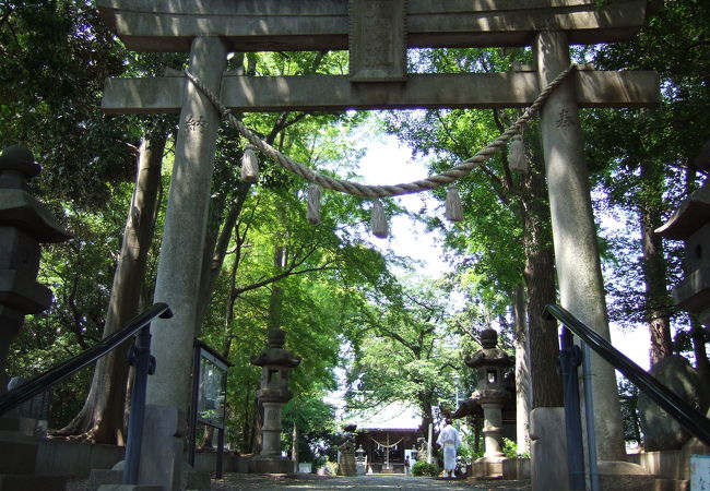 篠原八幡神社 クチコミ アクセス 営業時間 新横浜 フォートラベル 篠原八幡神社 クチコミ アクセス 営業時間 新横浜 フォートラベル