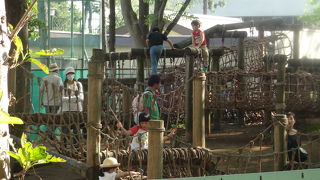 アスレチック！