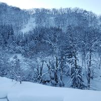 客室からの眺望　窓が大きく景色が良いです。ずっと見ていたい