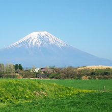 朝霧高原