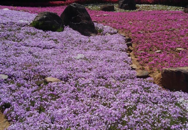 花の郷 滝谷花しょうぶ園 クチコミ アクセス 営業時間 室生 宇陀 フォートラベル
