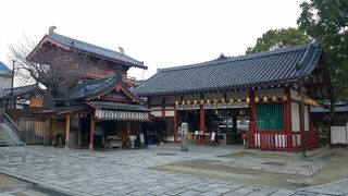 全身が苔に覆われている