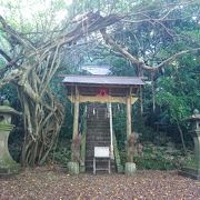 ジャングルの中にある神社という雰囲気