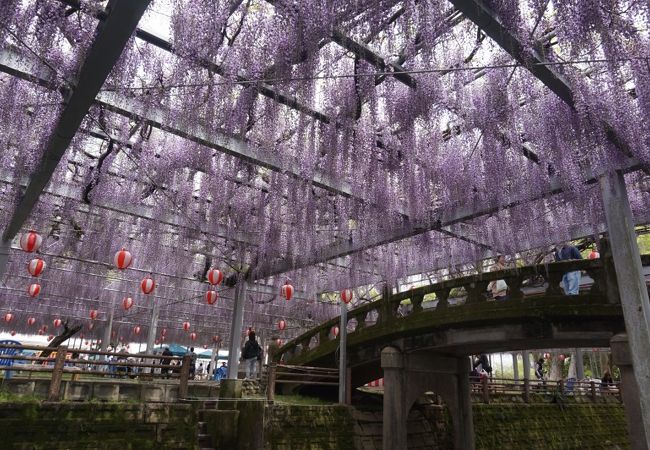 西鉄柳川駅から筑後船小屋駅まで臨時バスが出ます