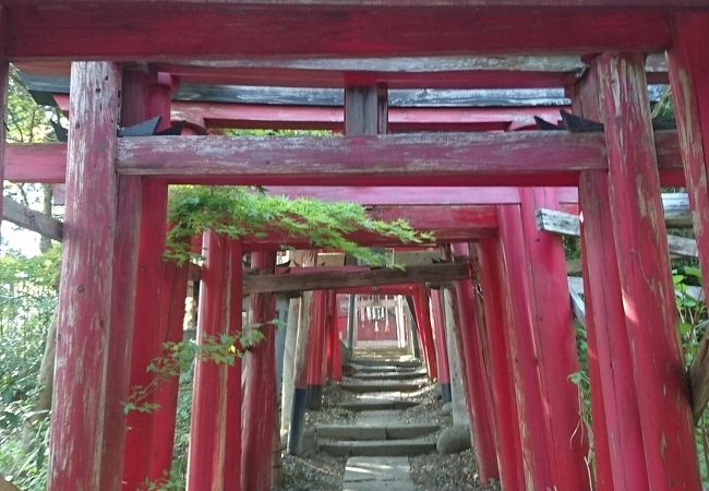 鳥居のトンネルを抜けると、そこは神社だった。