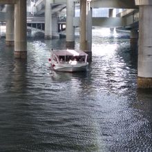 橋からの眺めです