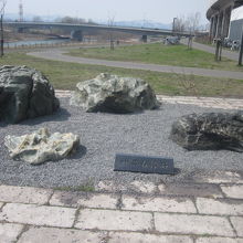 目立たない風情でレイアウトされているのがまた情趣深い！