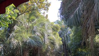 ジャングルクルーズ TDL