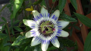 時の記念日に訪問