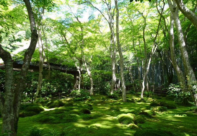 祇王寺